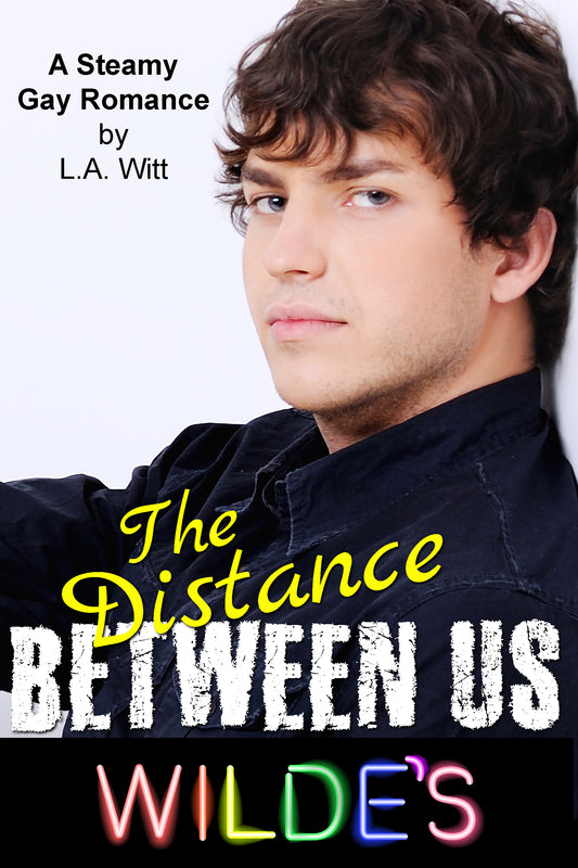 The Distance Between Us (Wilde's, Book 2)