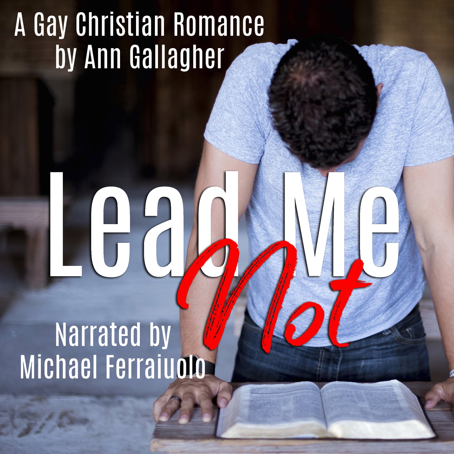 AUDIOBOOK: Lead Me Not: A Gay Christian Romance
